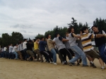 2005년 불사조 체육대회 (사진4)